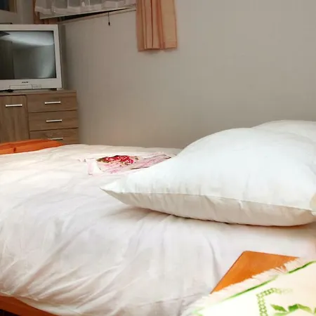 Apartman Raos Iva